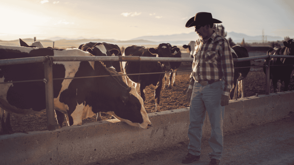 Instalaciones MIME Minerales